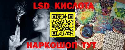 прущие грибы Шебекино