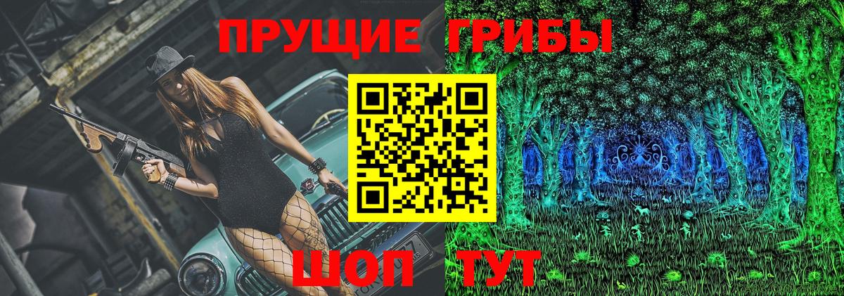 Псилоцибиновые грибы мицелий Великий Устюг